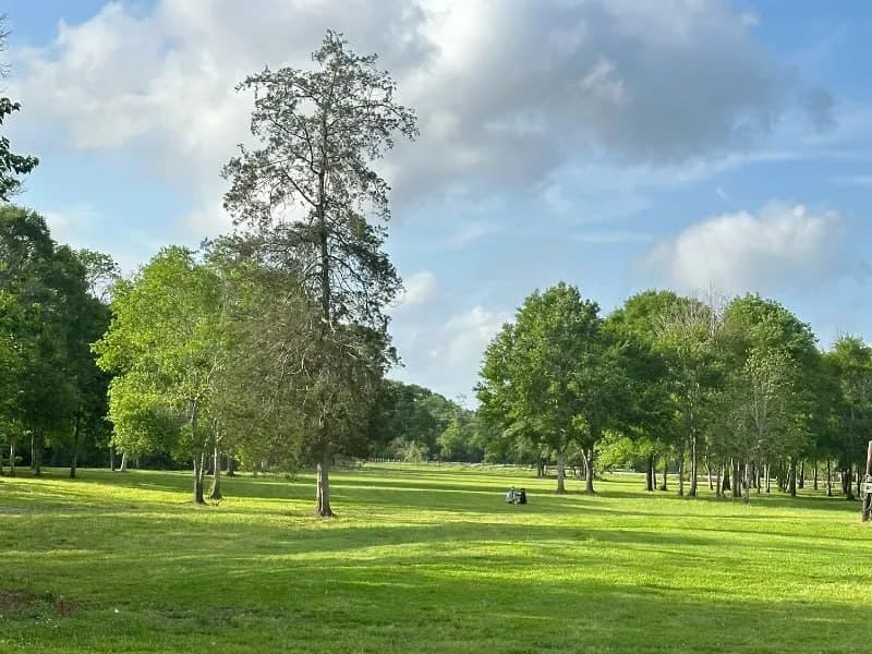 10 acres of beautiful green space at Uppity Pet Resort