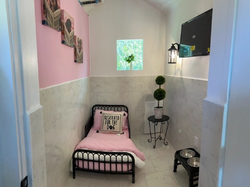 Pink-themed boarding suite with bed, TV, art, and window