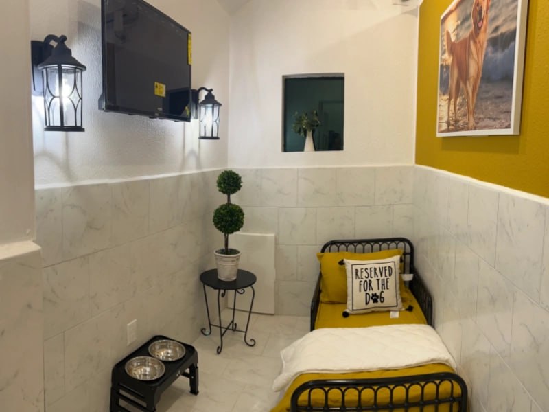 Yellow-themed boarding room with TV, lantern lights, and Reserved for the Dog pillow